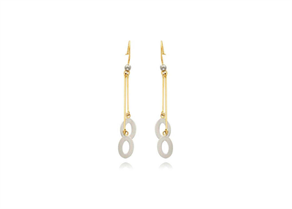 Two Tone Plated | Danglers Earrings
